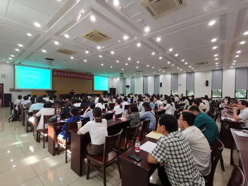 全区职称申报与职业技能等级认定系统培训会圆满举行，助力计算机系统服务人才队伍建设